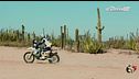 Rally del Messico