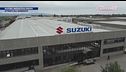 Suzuki Green