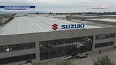 Suzuki Green