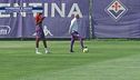 Fiorentina, il sogno