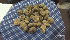 Domenica 10 dicembre