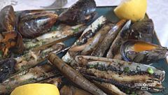 Mercoledì 20 dicembre