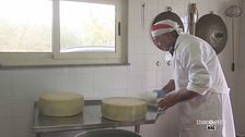 Le origini del formaggio Maiorchino