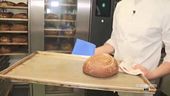 Il pane con la farina di grilli