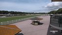 Dall'Ippodromo di San Rossore
