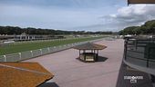 Dall'Ippodromo di San Rossore