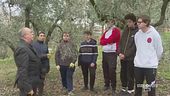 La scuola dei contadini
