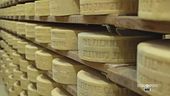 Il formaggio Val di Fiemme