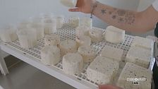 Il formaggio molisano