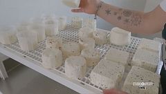 Il formaggio molisano