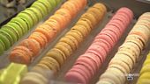 Macarons, dolci accattivanti