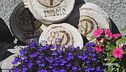 I formaggi che sanno di fiori