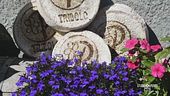 I formaggi che sanno di fiori