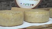 Il pecorino di Farindola