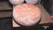 I formaggi dell'alta montagna