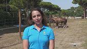 Il campionato europeo femminile di polo