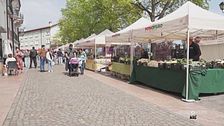 Un mercatino di semi rari