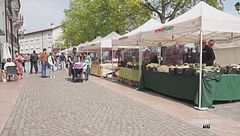 Un mercatino di semi rari