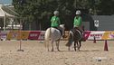 Le Ponyadi