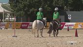 Le Ponyadi