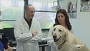 Un metodo innovativo per salvare gli animali
