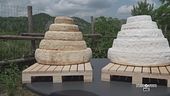 Il formaggio Montebore