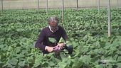 Agricoltura biodinamica