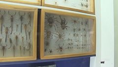 Il Museo Craveri di Storia Naturale di Bra