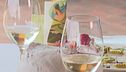 Il Gavi e il menu perfetto per assaporarlo