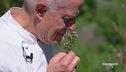 Oltre 30 anni di Stella Michelin