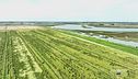 La Brussa di Caorle