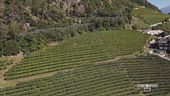 Valle Isarco, tesoro nascosto