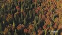 Lo spettacolo del foliage