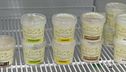 yogurt naturale Puro