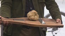 Mostra del tartufo bianco a Città di Castello