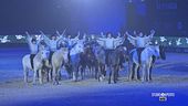 Fiera Cavalli di Verona