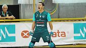 Campioni di hockey su rotelle