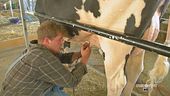 I giovani agricoltori di domani