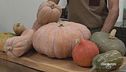 La zucca in cucina