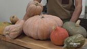 La zucca in cucina