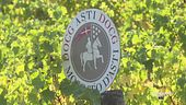 Il Moscato d'Asti