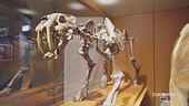Il Museo Della Natura E Dell'Uomo