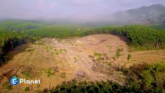 Puntata dell'8 gennaio