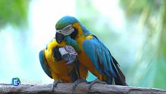 Puntata del 12 marzo