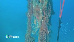 La cura dei nostri mari