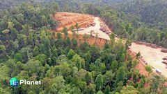 Deforestazione, l'Europa si muove