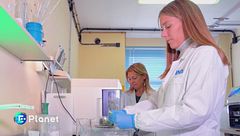 Il passaporto delle olive