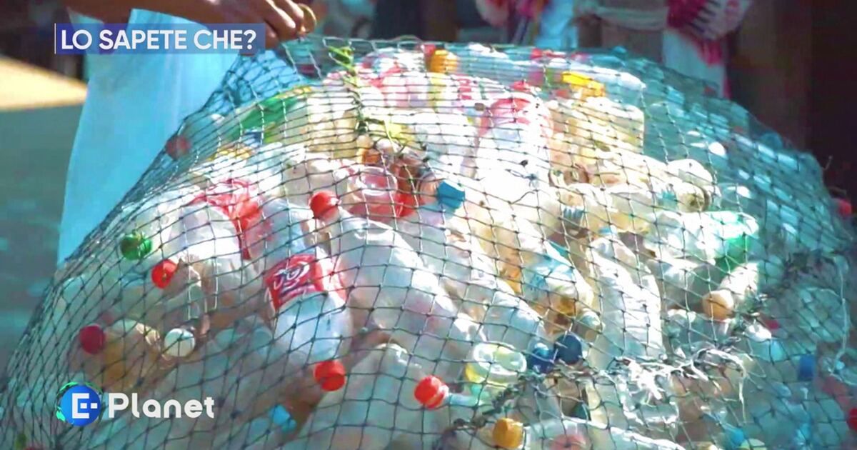 E-Planet: Lo sapete che? Video | Mediaset Infinity