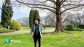 Visitiamo il Parco Giardino Sigurtà