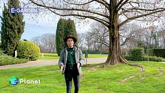 Visitiamo il Parco Giardino Sigurtà